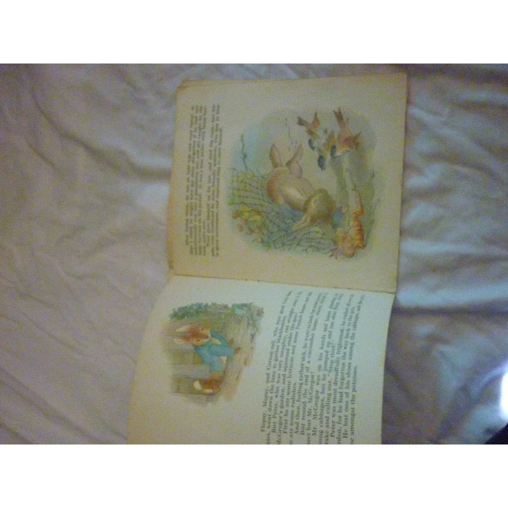 Vintage 1934 The Tale of Peter‎ Rabbit Saalfield Pub Co Softcover Book No 3100-G